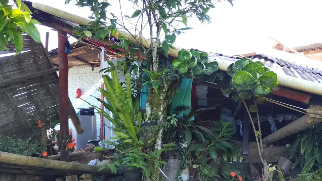 Albergue temporal 8